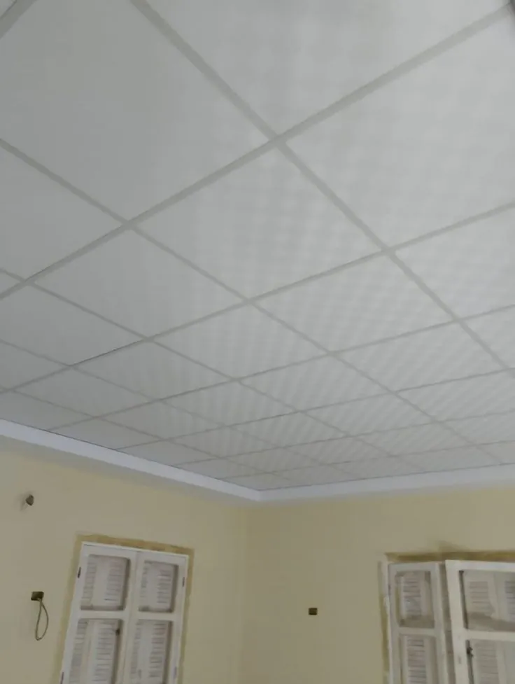 2×2 grid ceiling with a plain white border in a finished room