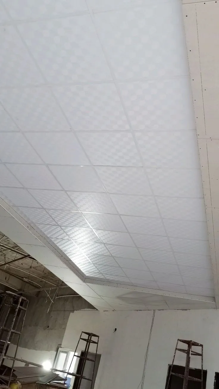 2×2 grid ceiling with a recessed border over a large room during work